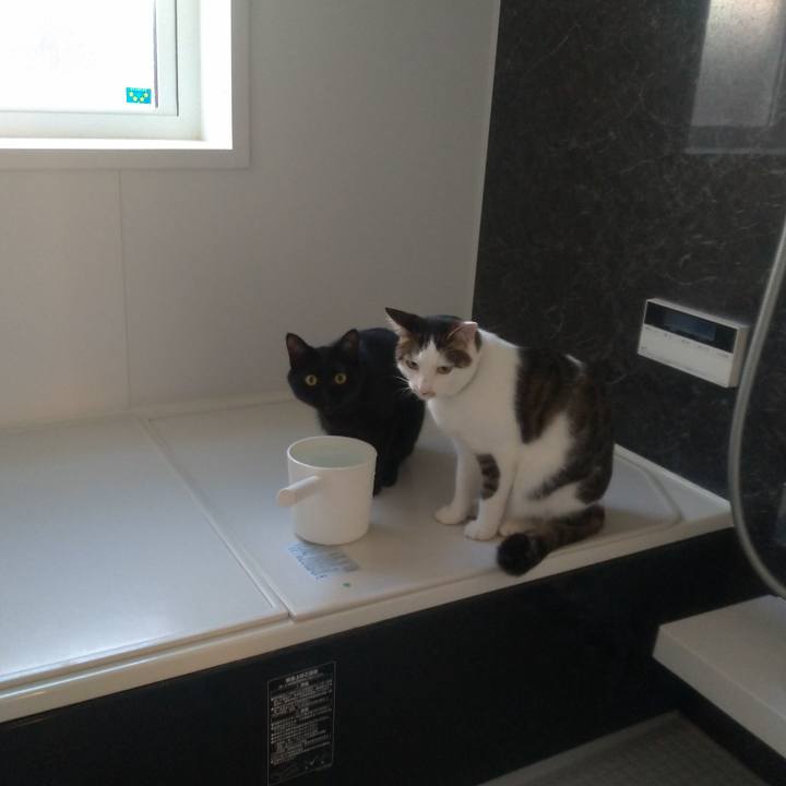 A5705939 787e 46cd ba5a bd877085dec7 1560656233671