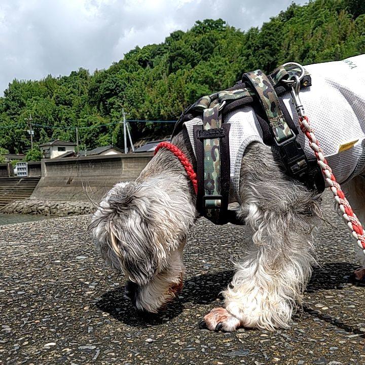 A57059f7 d2da 4952 9060 c2a7db7d3656 1720168513650