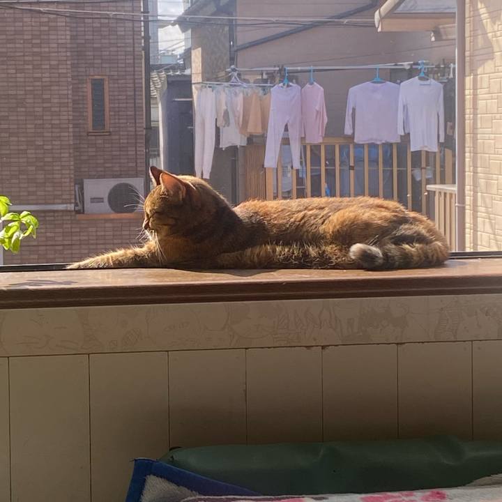 A57079aa 17c6 46bd ac79 e271d7f801e6 1697849128447