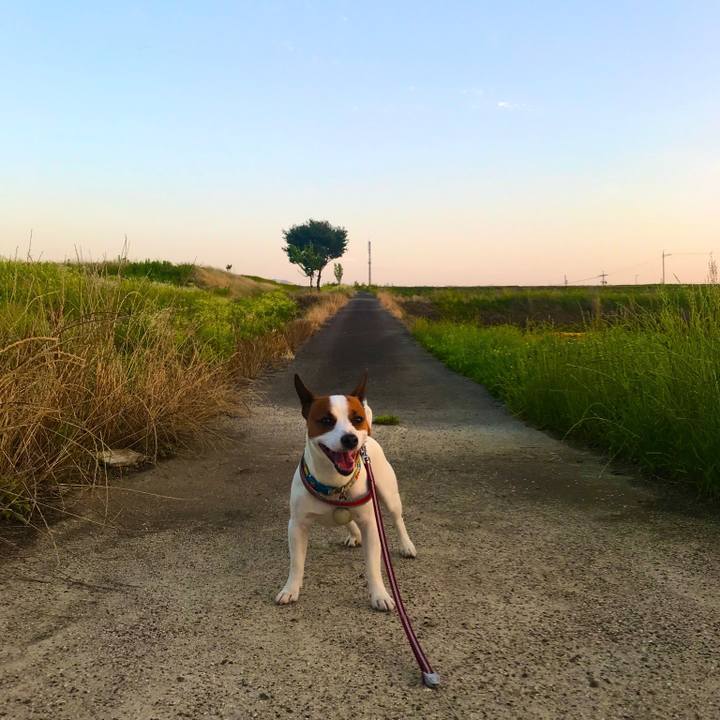 A570aedd a6f5 4289 a1a9 73aeab41ddb3 1528542818205