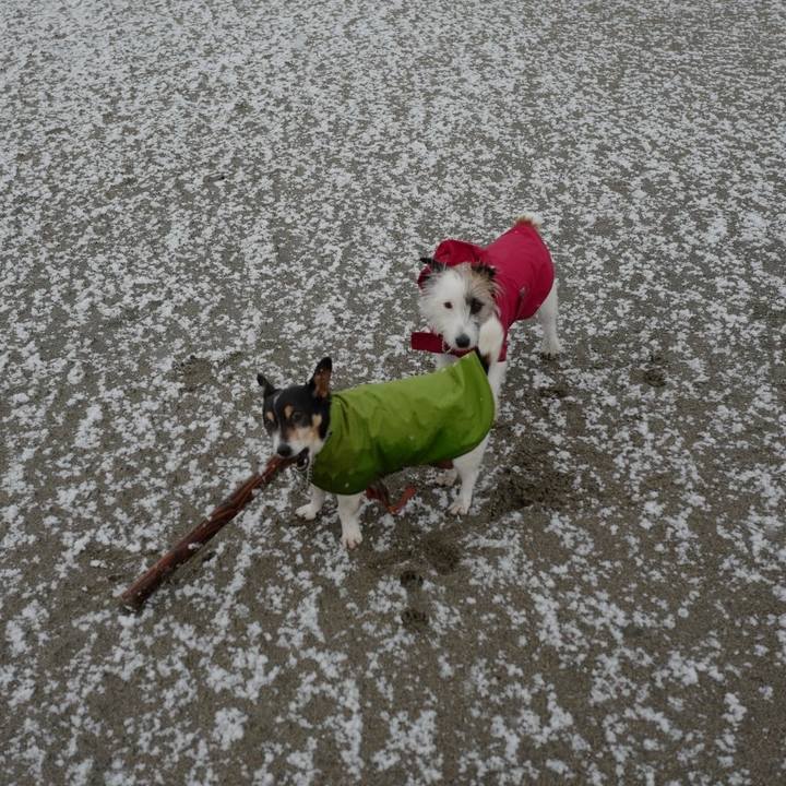 A570c144 6a30 4327 9379 cc4542c0029f 1519533835498