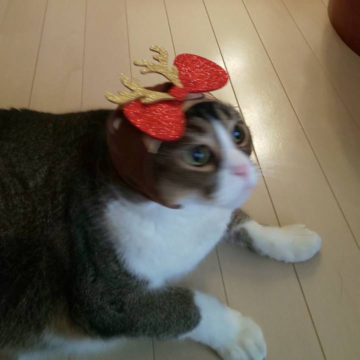 A570cb4f 063e 434f 9385 c3a99a9a27f8 1640389824181