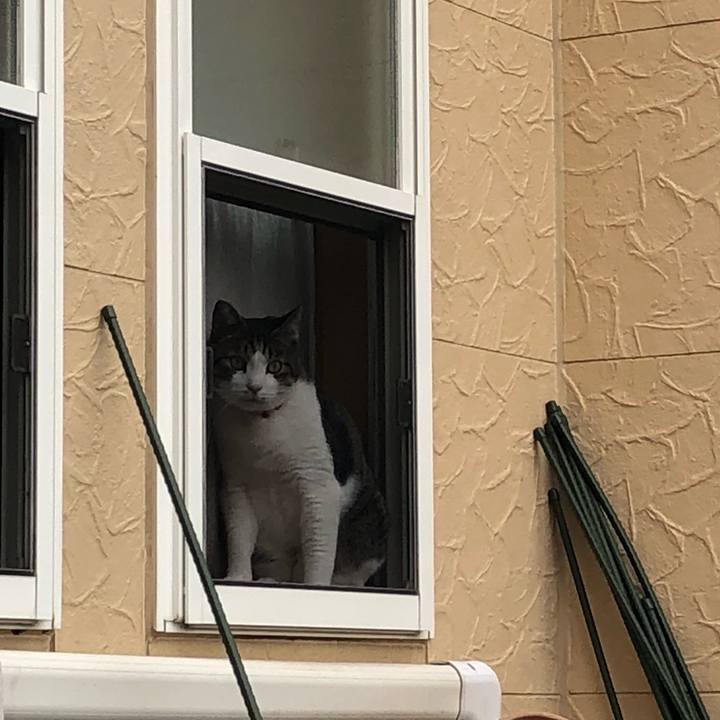 A57109a2 3ef5 486b a8be 8ce4a8a18da4 1531322969710