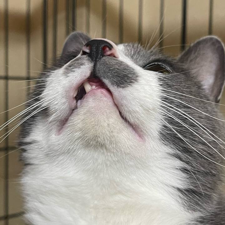 A5711262 7275 44be 9da5 6abbb24b8b3f 1680785284664