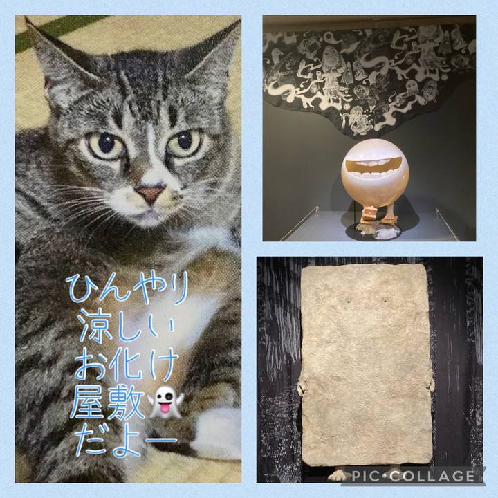 A57127db b58b 4a23 8088 ff23cea42890 1693058569100