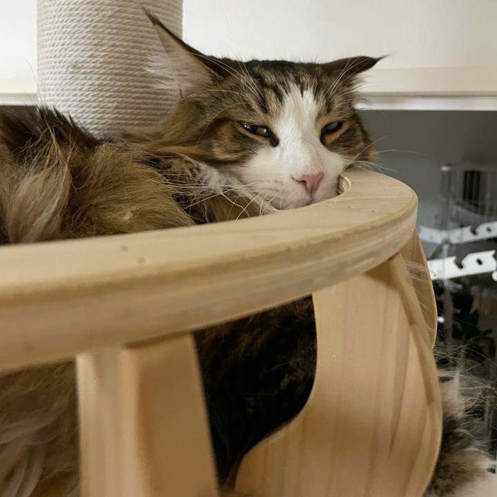 A57135a7 3f74 4bde 8cde ed3baa09c473 1679135765420