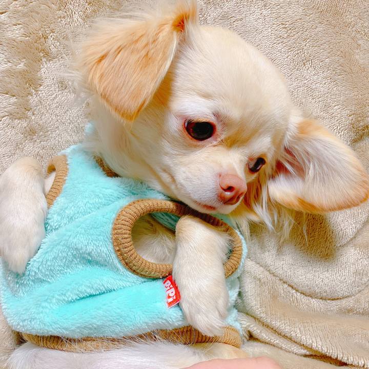 A5715d4b 6068 407a b812 0990cd8b7e92 1640592038503