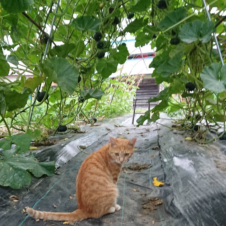 A5716e8d eafa 473a 904a f2b5f348d4ea 1563874996733