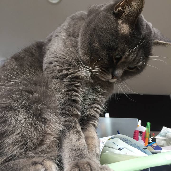 A5718ff0 6da7 4f09 9b28 eafb0d3a2459 1516852377611