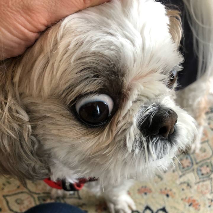 A57197cd 17d5 43b3 ba64 7ae7cb5fcdca 1586650797471