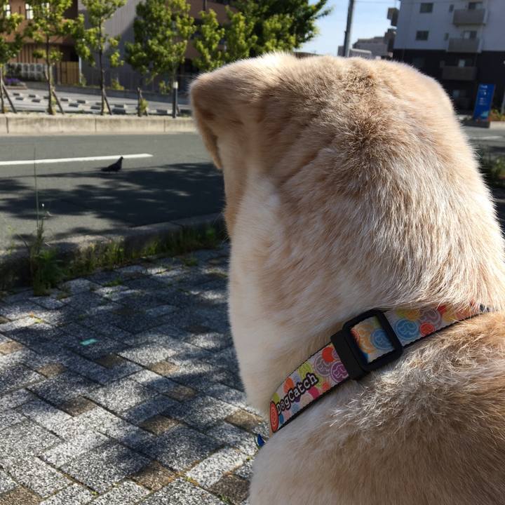 A571a741 fb02 4f66 9e56 85c910d0d84c 1525562847126