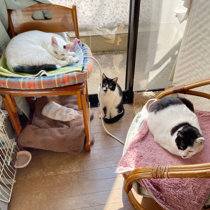 A571d283 6531 489b ae33 d776c6ebca79 1767080162218