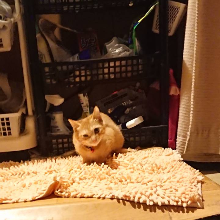 A571dc82 715e 43b3 9ff1 52cfb9fe266a 1632564220668