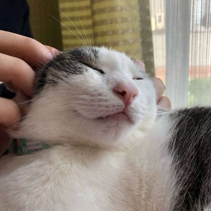 A5721085 995e 47e5 8043 4629bfaf2286 1594969732417