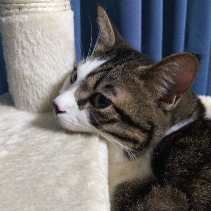 A5722b59 0916 4763 933e 70e495b0b3f0 1632134827157