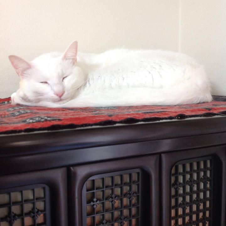 A57240e7 6c71 451d aec2 09950f34deb1 1633492086423