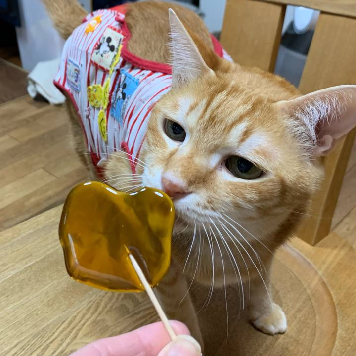 A572465e e683 4324 8512 10bf12871bed 1587039594984