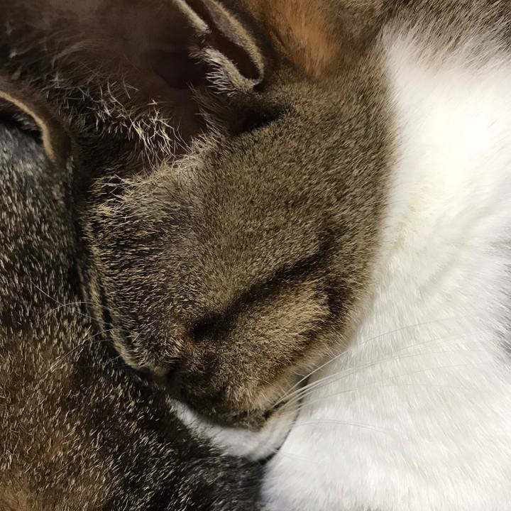 A57273fa 9d07 4aa6 acc5 af002a43022e 1510361135935