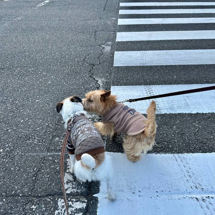 A5728bc3 e1ba 4472 9144 71bf7722bae3 1740442020831