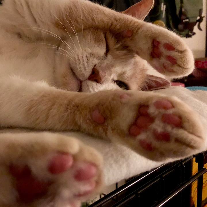 A5728bff e44f 4f5b 930b 23681c445273 1527600369681