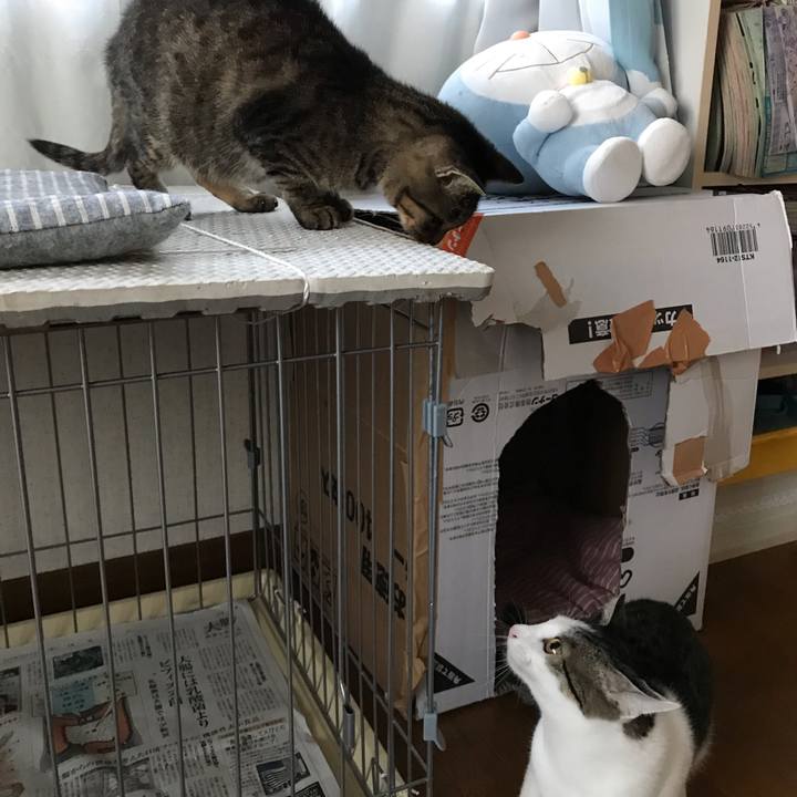 A572bec9 88c5 4b72 80f2 7cedcc256210 1539380733545