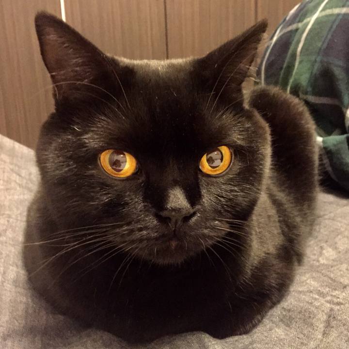 A5731ce3 5359 48f1 9098 4477c51ebc74 1540546282546