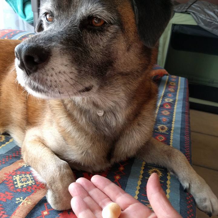 A573390a 5307 4ff4 ae1a 9e5dd0b4b507 1694478953888