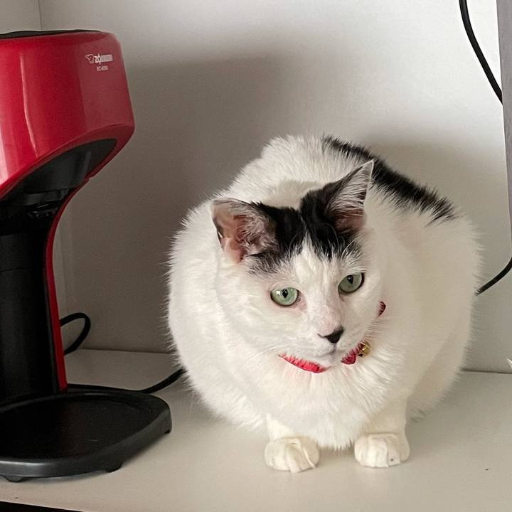 A5737aef 71c0 49d6 8295 afb1d218e49c 1620878367943