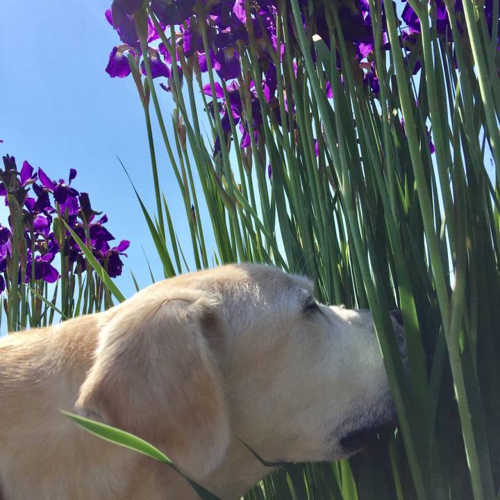 A57382c3 a011 4623 9f9b d3f61d5514dc 1553214524409