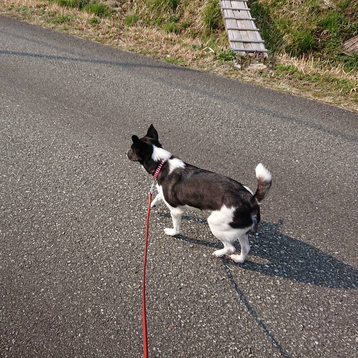 A5738aa6 9205 4ded bea0 8fe8e6c0a5c2 1521936346004