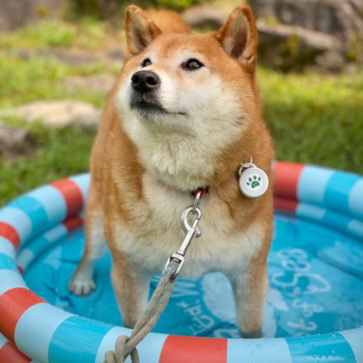 A573acef 50e7 4478 8804 9f3aa2eca38c 1626080995006