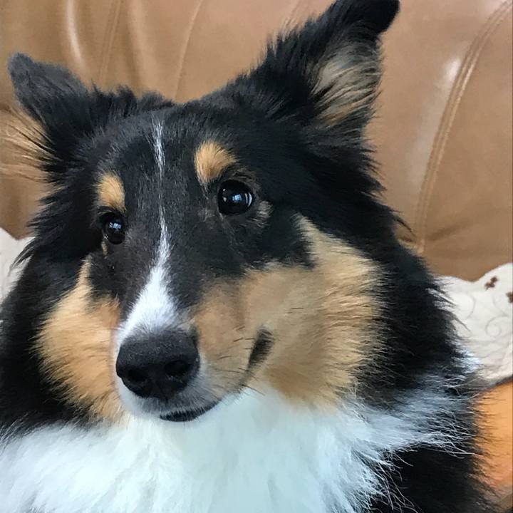 A573c023 e810 474c bb5d c2fc011aa815 1525903677594