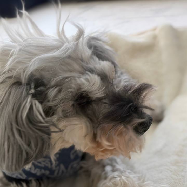 A574067b ce1b 486b b546 c7494cacb518 1774059322283