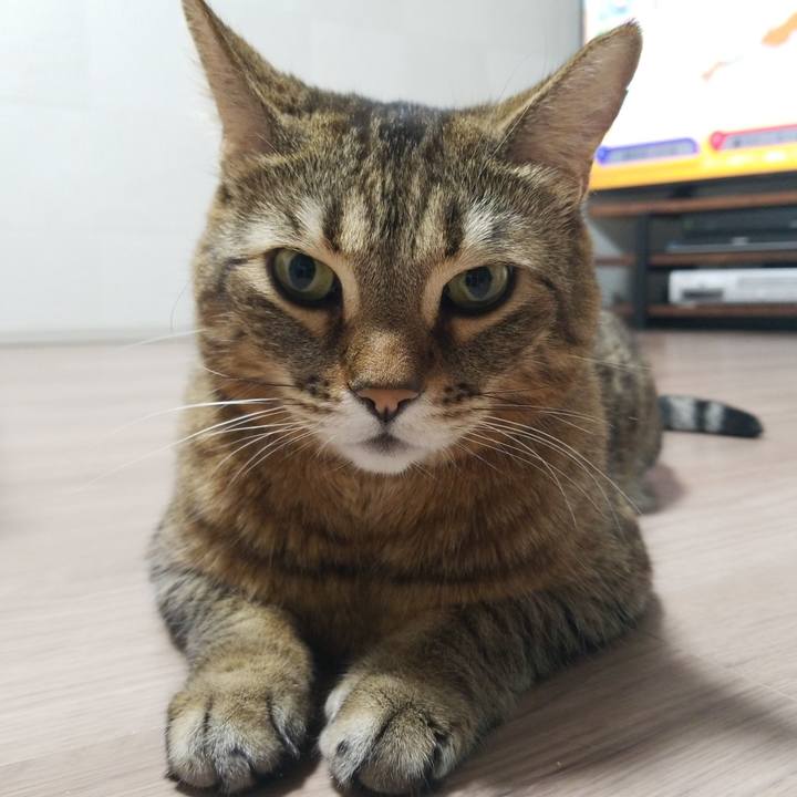 A5742946 810d 44d0 b4e7 4aa894f20b3a 1581026207829