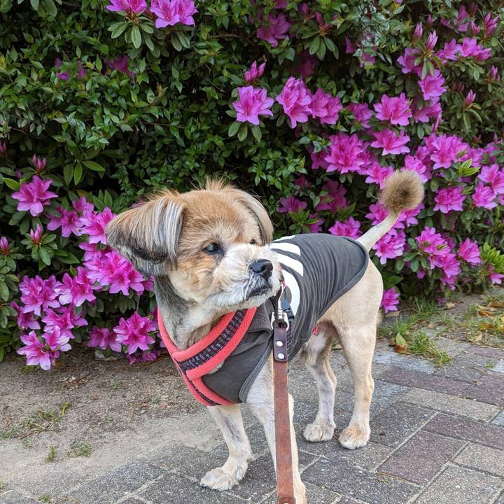 A5744195 8508 4844 8a5c 001f8d6dc61c 1681338323965