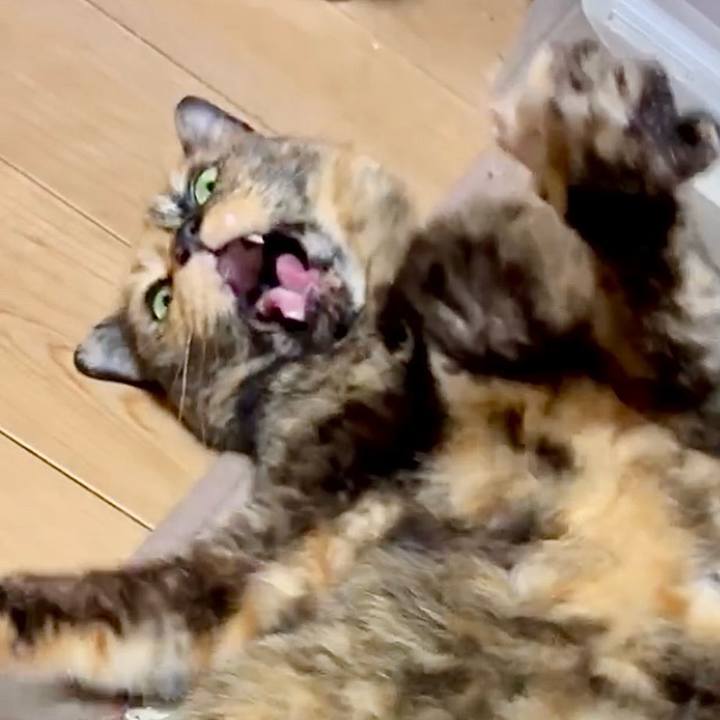 A5747c41 9177 4d61 ad4a 06129c32da64 1750075635504