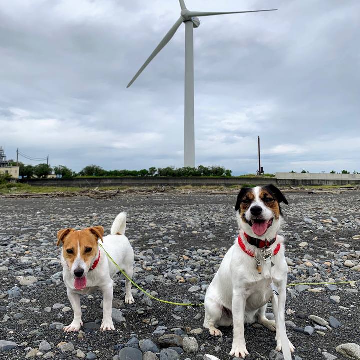 A5752779 eda3 435d a694 e94927ff4e80 1569650645796