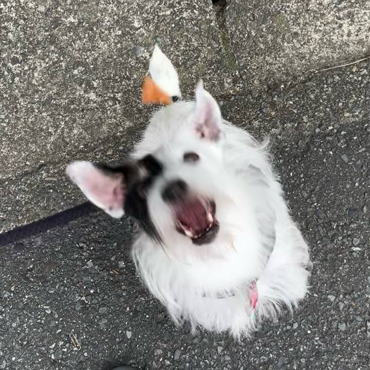 A5752fd0 f5ee 476c 8f33 97322732257e 1695942608448