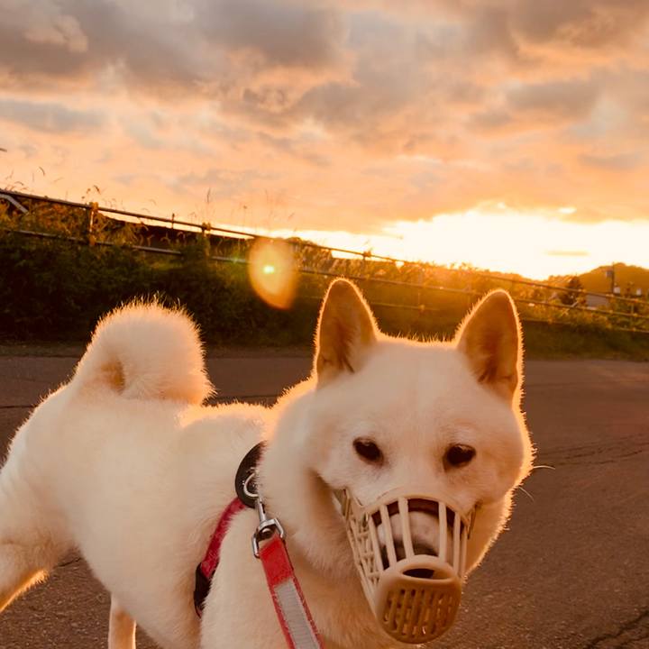 A57577b1 b1e1 4420 acc2 2586ecd80ea4 1568324024735