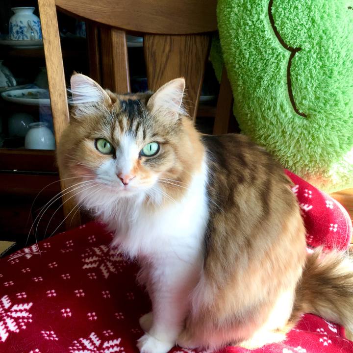 A5758693 e2b6 4452 b630 65724663a7e3 1555538295628