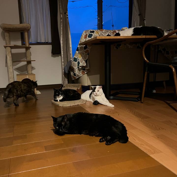 A575973c 8345 4804 9510 baf5028ce792 1750964854413