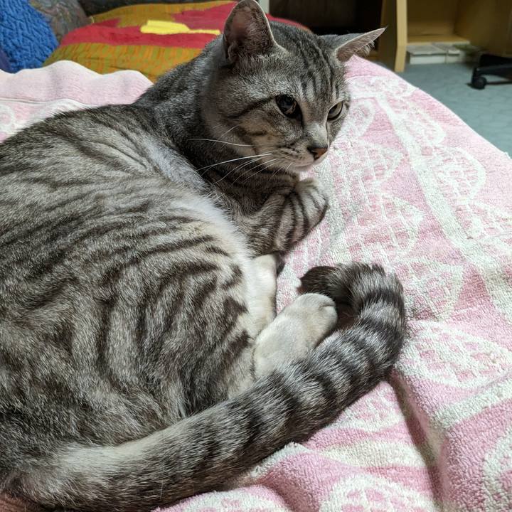 A575ac4a ef6b 4644 8fa5 35f73067c4de 1717945323643