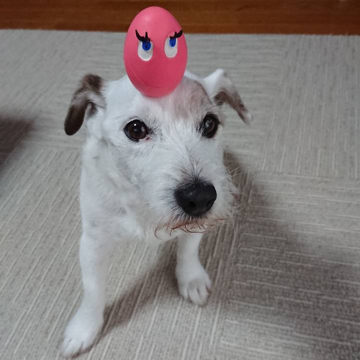 A575c3b0 5b70 454c a772 73496bcf0ceb 1560295027517