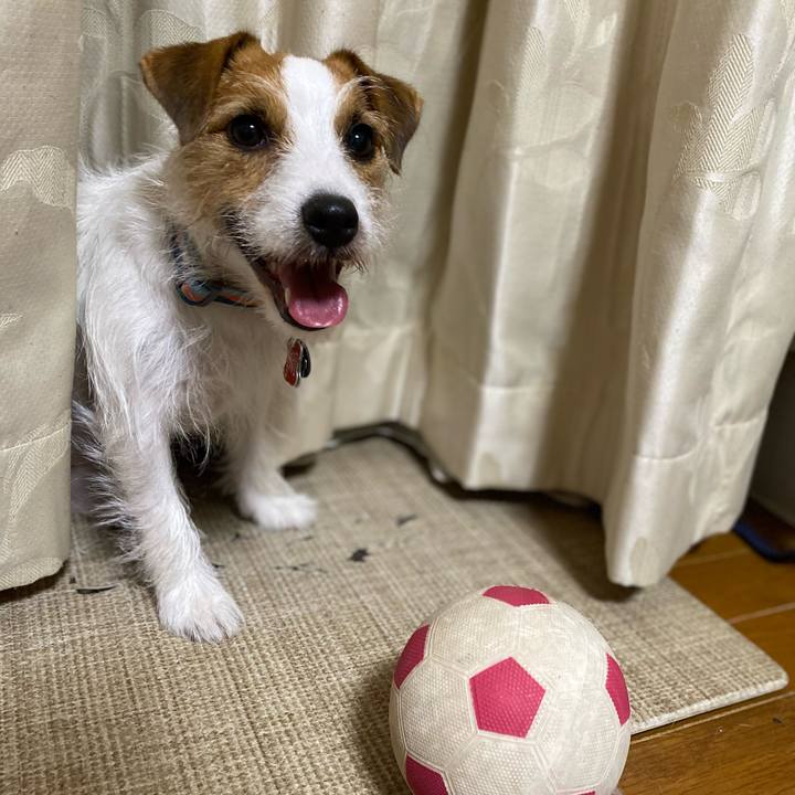 A575dbf4 c730 4fe9 9b7e 9e682ee19667 1697809922803