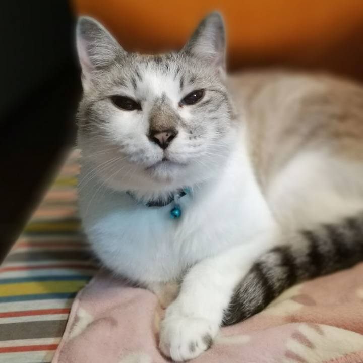 A5762ea8 a2cd 4ef9 8652 26aa754f30d4 1561629927099