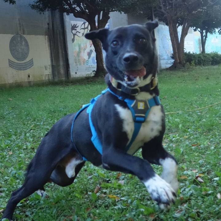 A57664a7 6194 4aeb bda5 45708856d479 1604448016473