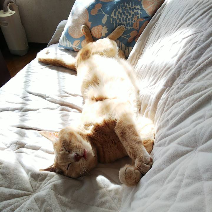 A576795a 1219 4b7c 99fc 154d1caa357c 1633750624156