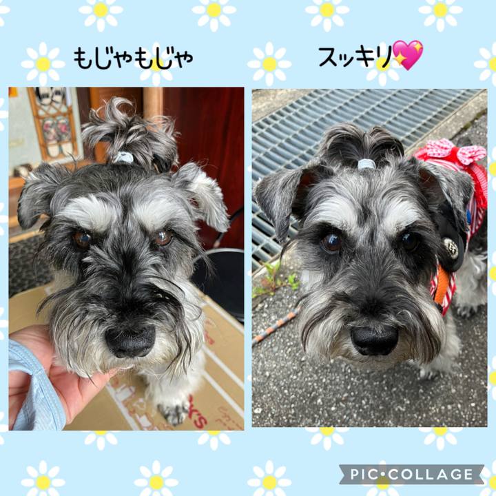 A576a8e7 9a5a 466e a3d7 30b459f65c5b 1749959618750