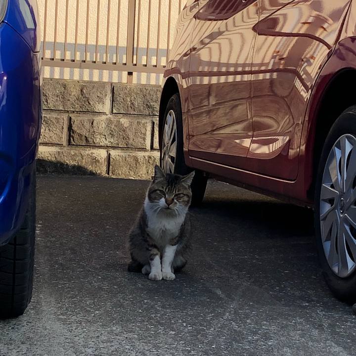 A576bc4e 0e03 4eea 90d5 f6aa75be5396 1519633726928