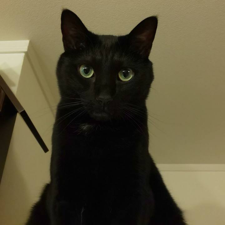 A5771c91 2bd3 4d96 879d f3e38157bb19 1628757708749